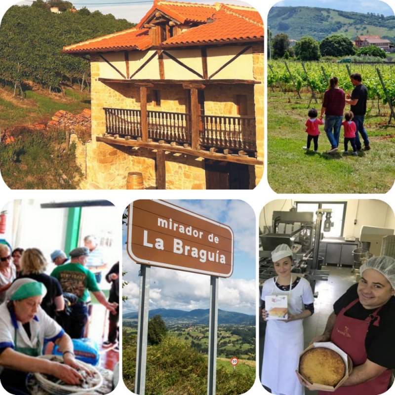 Viaje de enoturismo por Cantabria en Bodegas Vidular